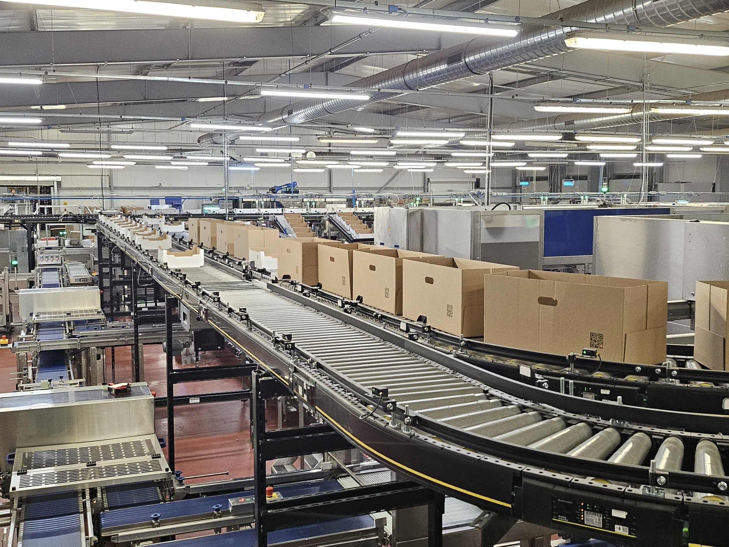 Ligne de convoyage industriel et manutention